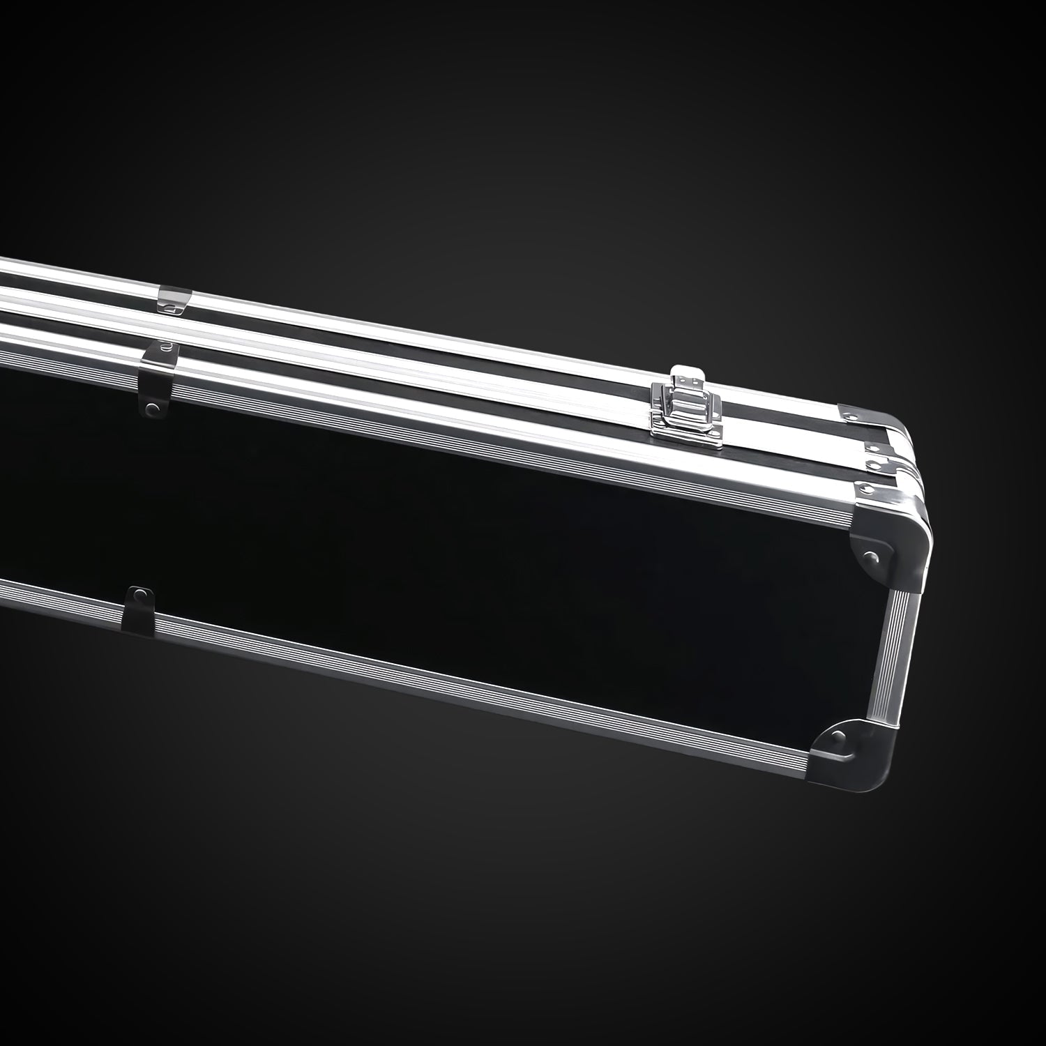 Hardcase/Suitcase - Theory Sabers